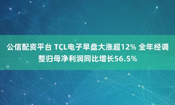 公信配资平台 TCL电子早盘大涨超12% 全年经调整归母净利润同比增长56.5%