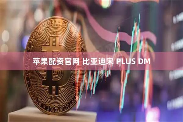 苹果配资官网 比亚迪宋 PLUS DM