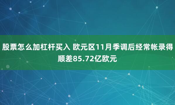 股票怎么加杠杆买入 欧元区11月季调后经常帐录得顺差85.72亿欧元